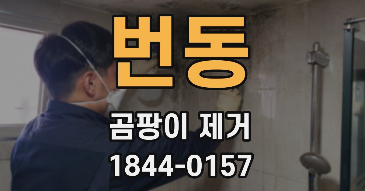 번동 곰팡이 제거