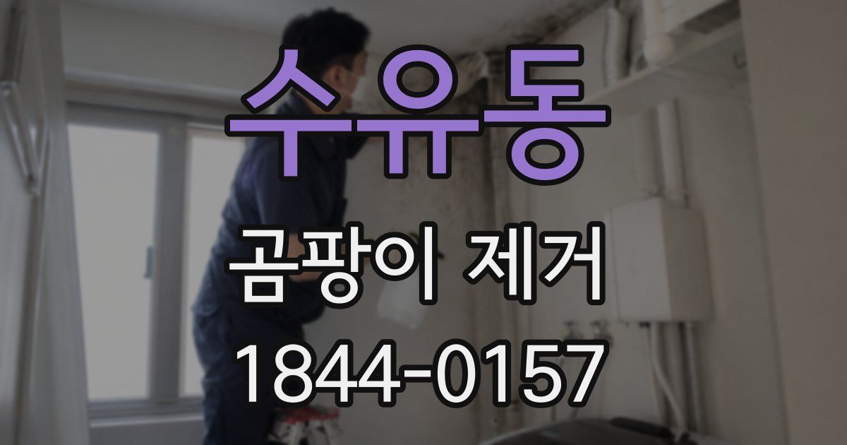 수유동 곰팡이 제거