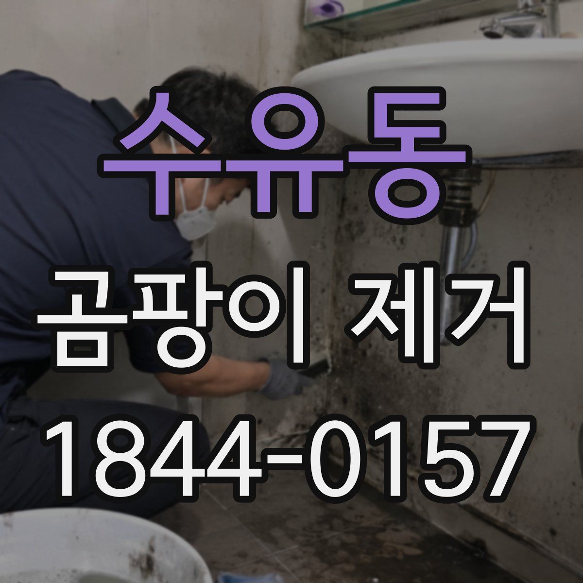 수유동 곰팡이 제거