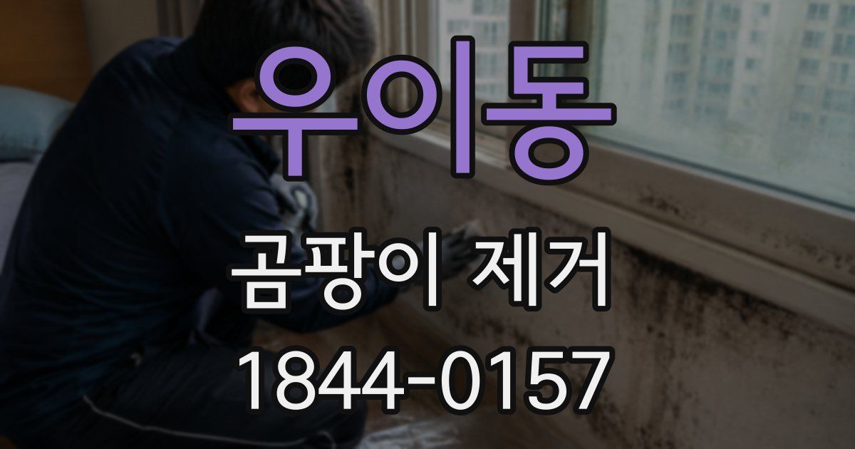 우이동 곰팡이 제거