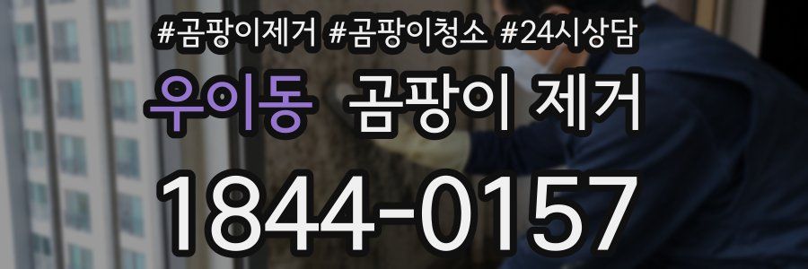 우이동 곰팡이 제거