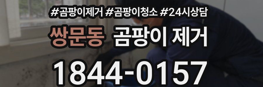 쌍문동 곰팡이 제거