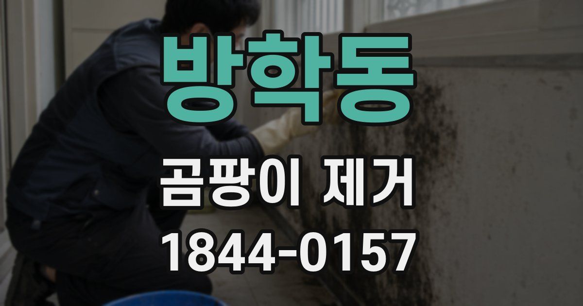 방학동 곰팡이 제거