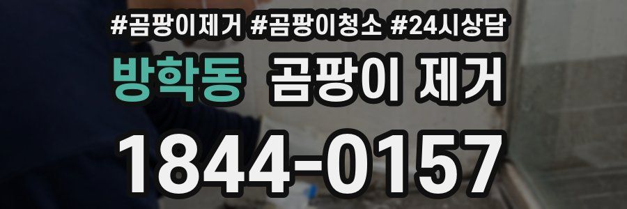 방학동 곰팡이 제거
