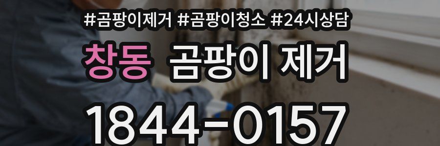 창동 곰팡이 제거