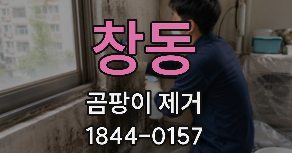 창동 곰팡이 제거