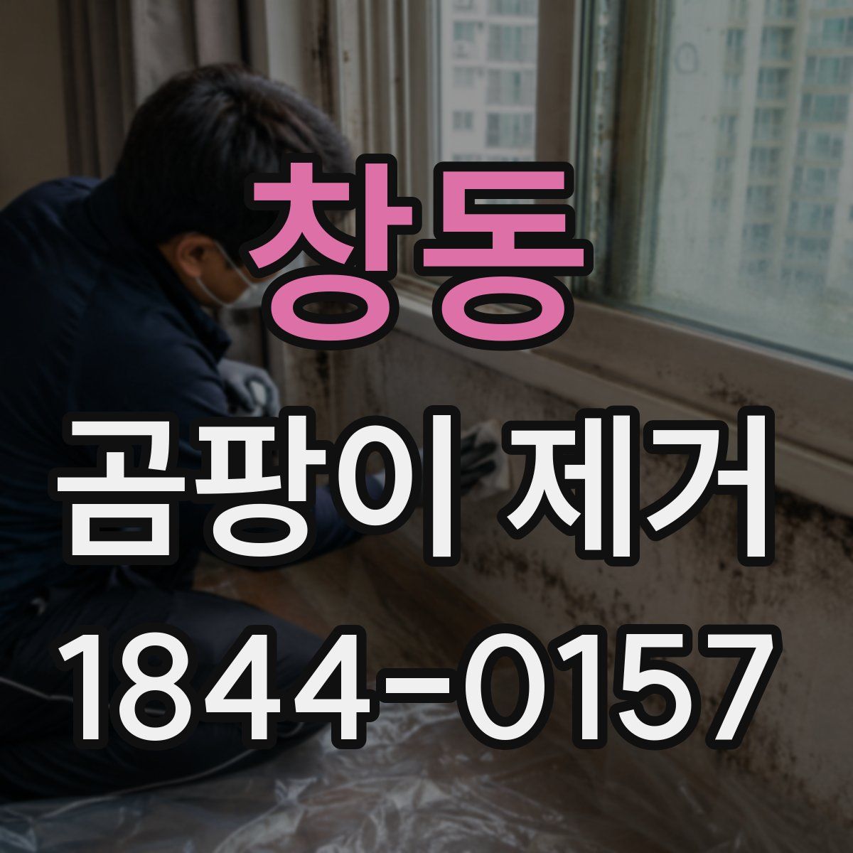 창동 곰팡이 제거