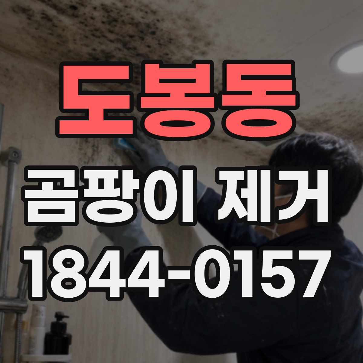 도봉동 곰팡이 제거