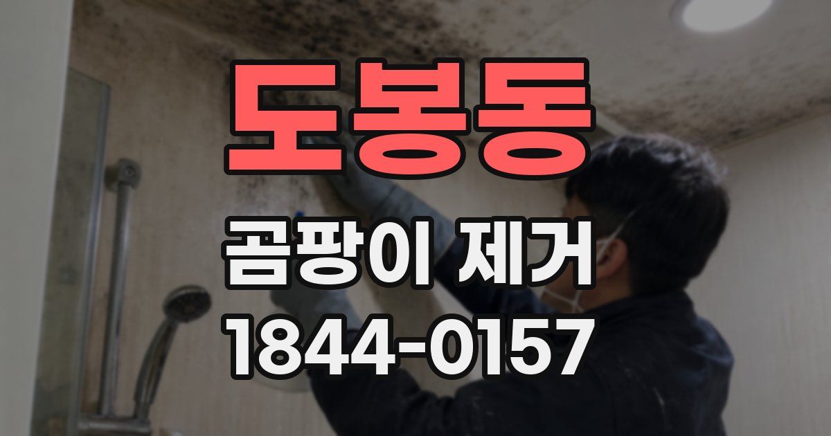 도봉동 곰팡이 제거
