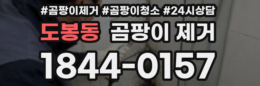 도봉동 곰팡이 제거