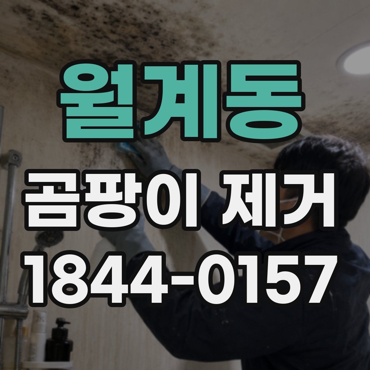 월계동 곰팡이 제거