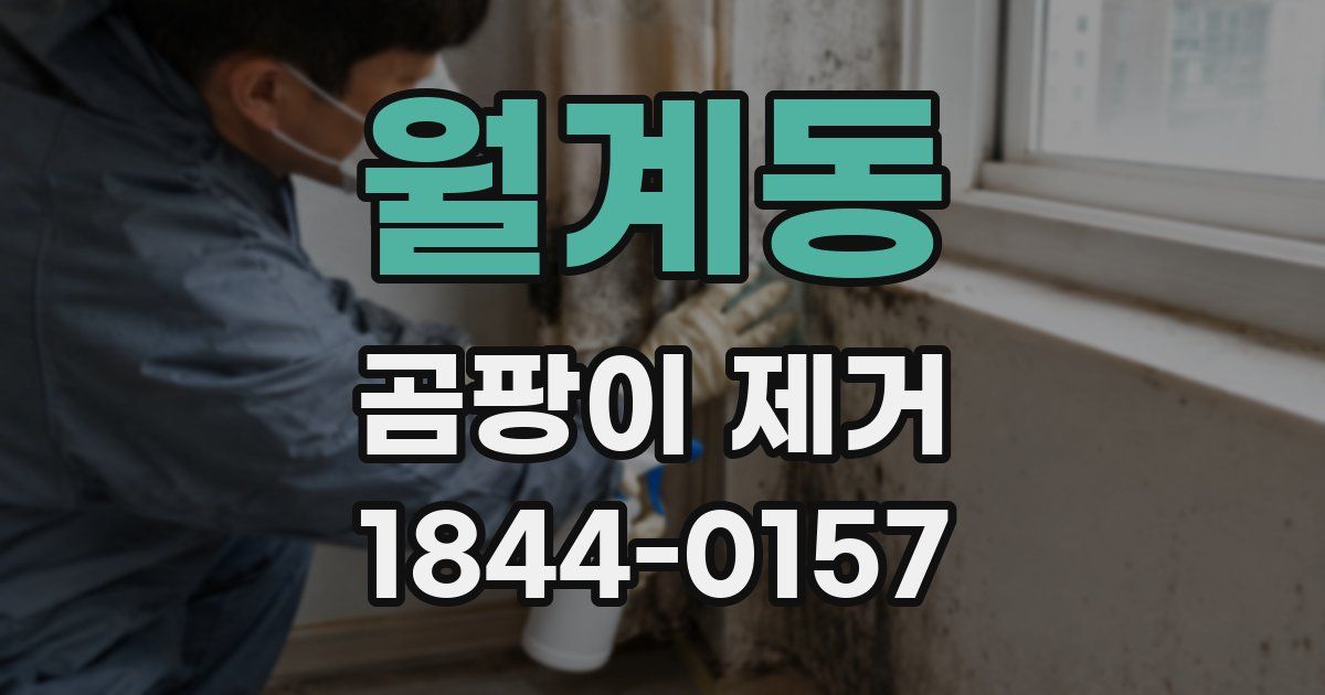 월계동 곰팡이 제거