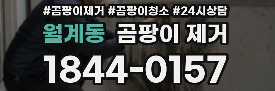 월계동 곰팡이 제거