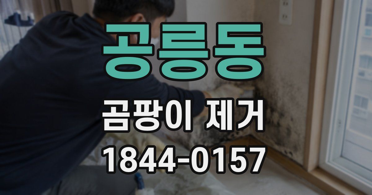 공릉동 곰팡이 제거