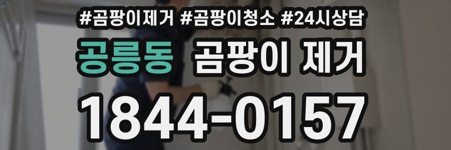 공릉동 곰팡이 제거