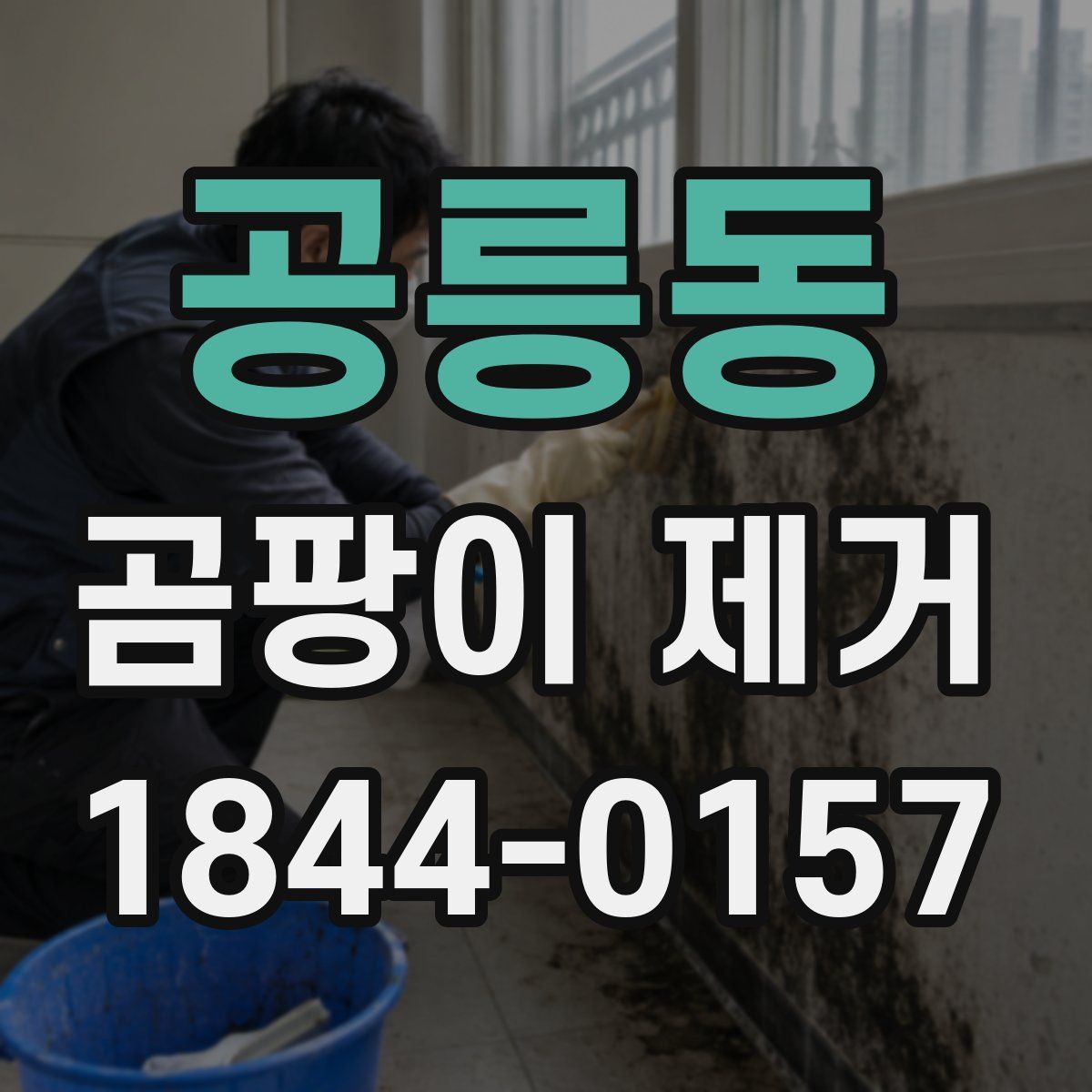공릉동 곰팡이 제거
