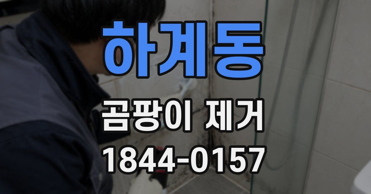 하계동 곰팡이 제거