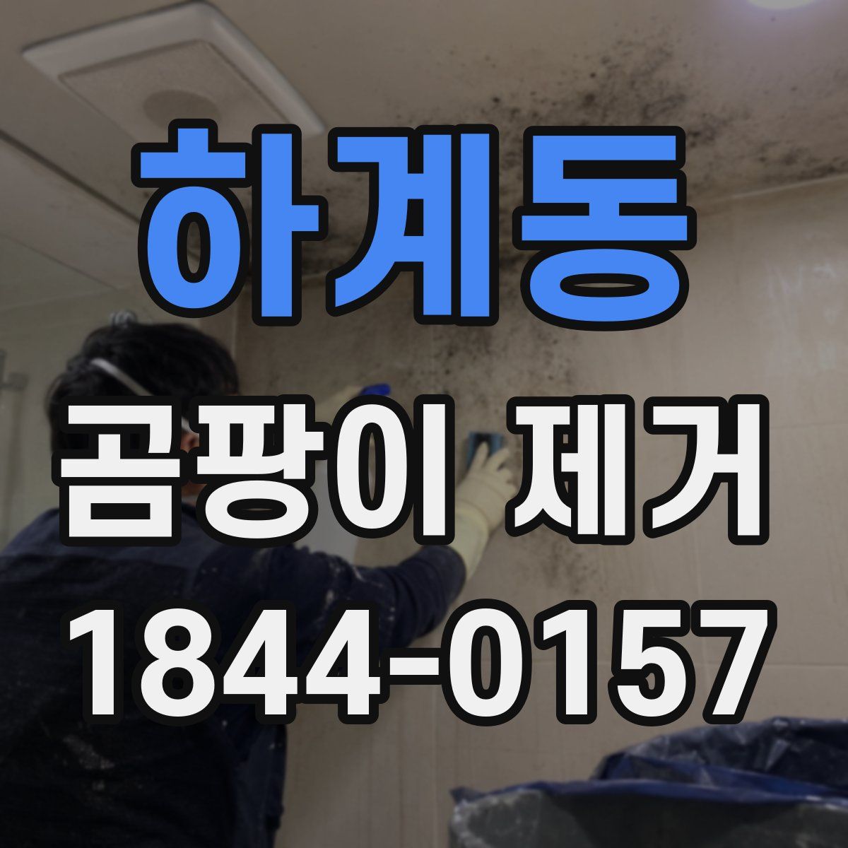 하계동 곰팡이 제거