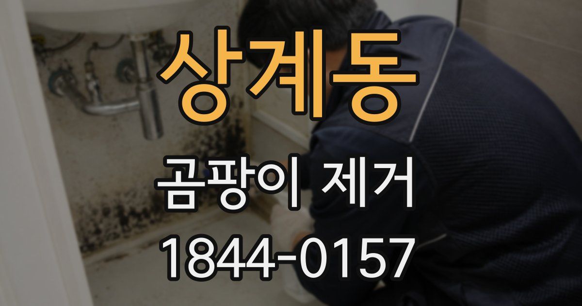 상계동 곰팡이 제거
