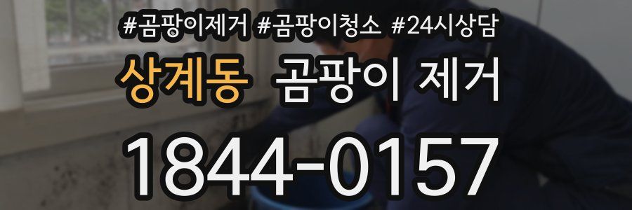 상계동 곰팡이 제거