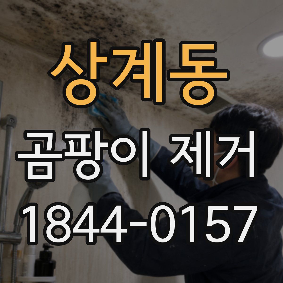 상계동 곰팡이 제거