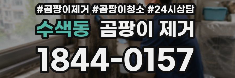 수색동 곰팡이 제거