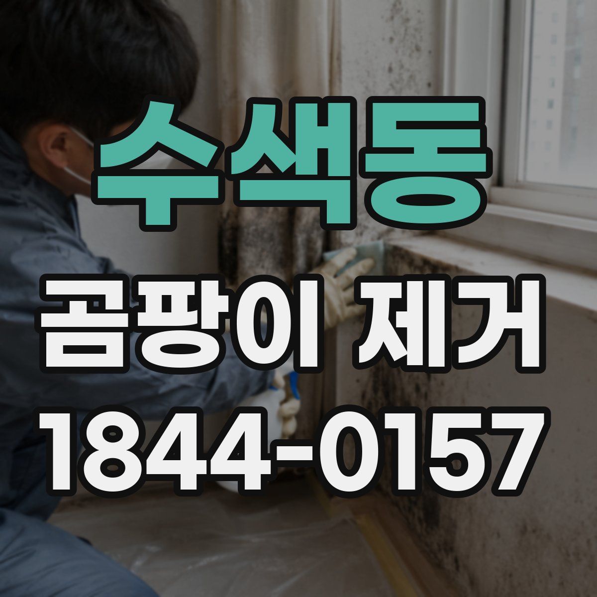 수색동 곰팡이 제거