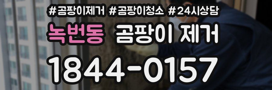 녹번동 곰팡이 제거