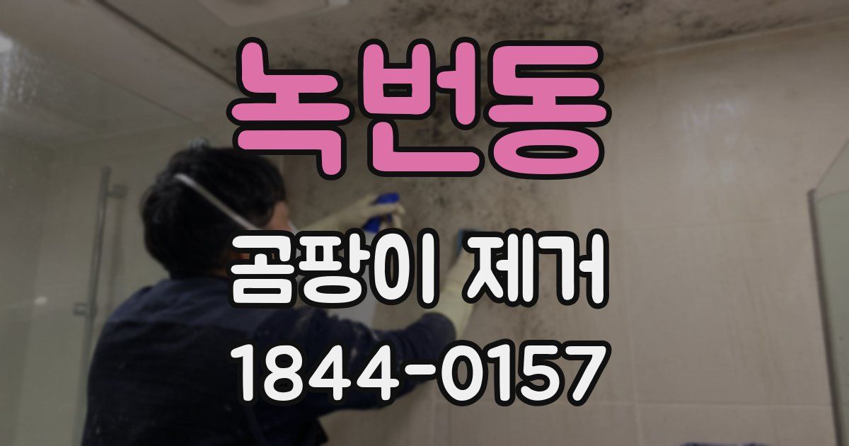 녹번동 곰팡이 제거