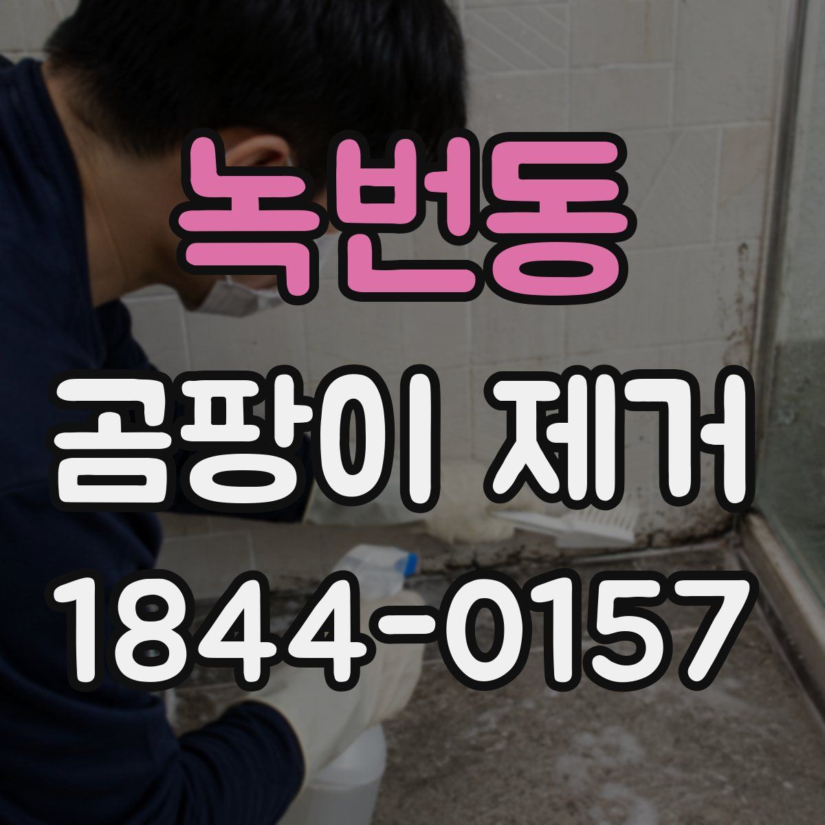 녹번동 곰팡이 제거