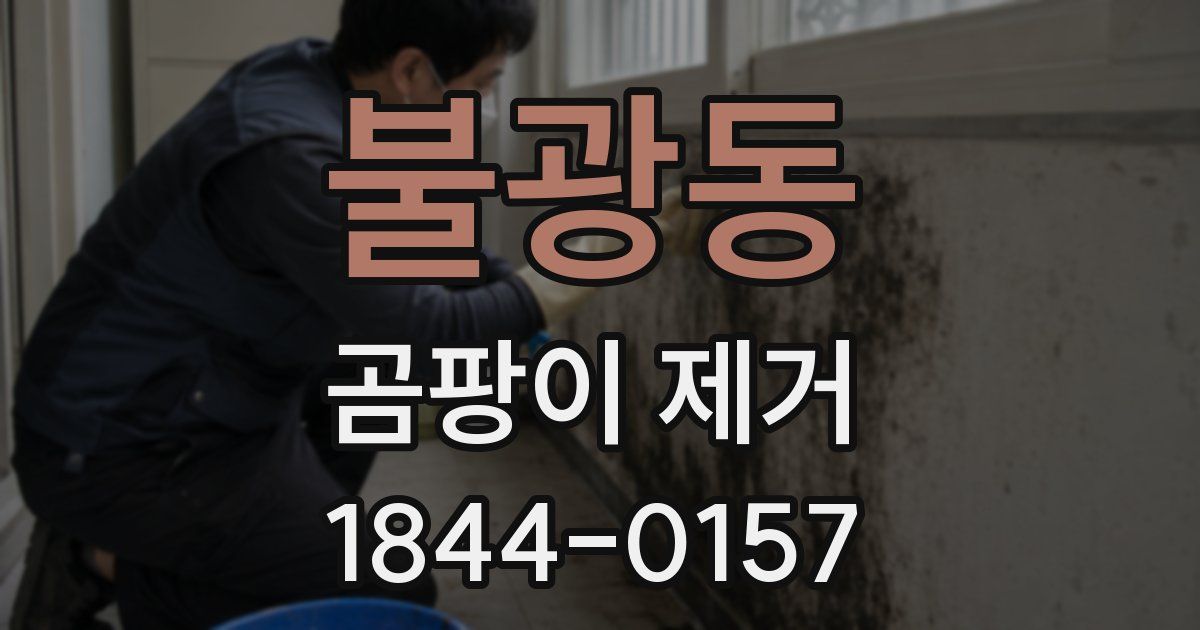 불광동 곰팡이 제거