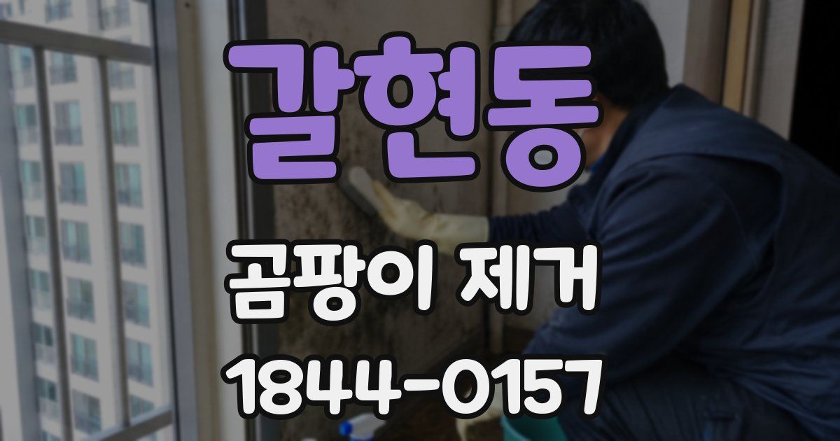 갈현동 곰팡이 제거