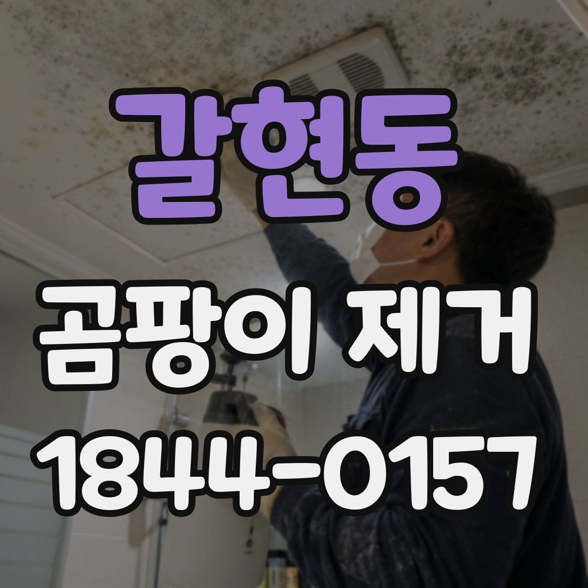 갈현동 곰팡이 제거