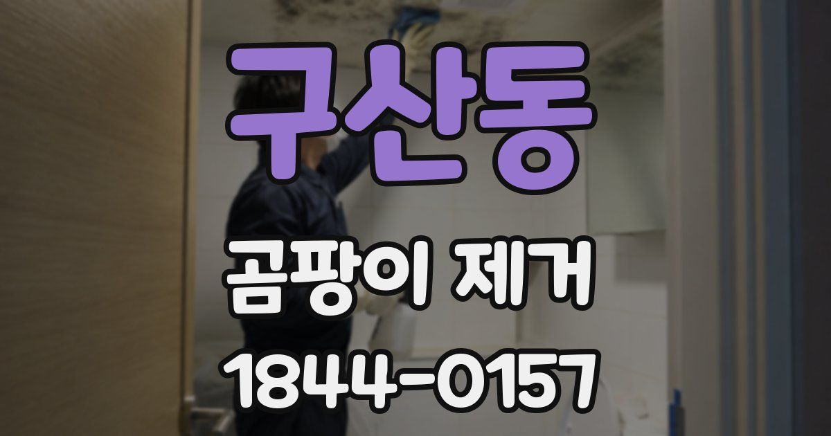 구산동 곰팡이 제거