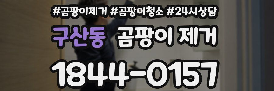 구산동 곰팡이 제거