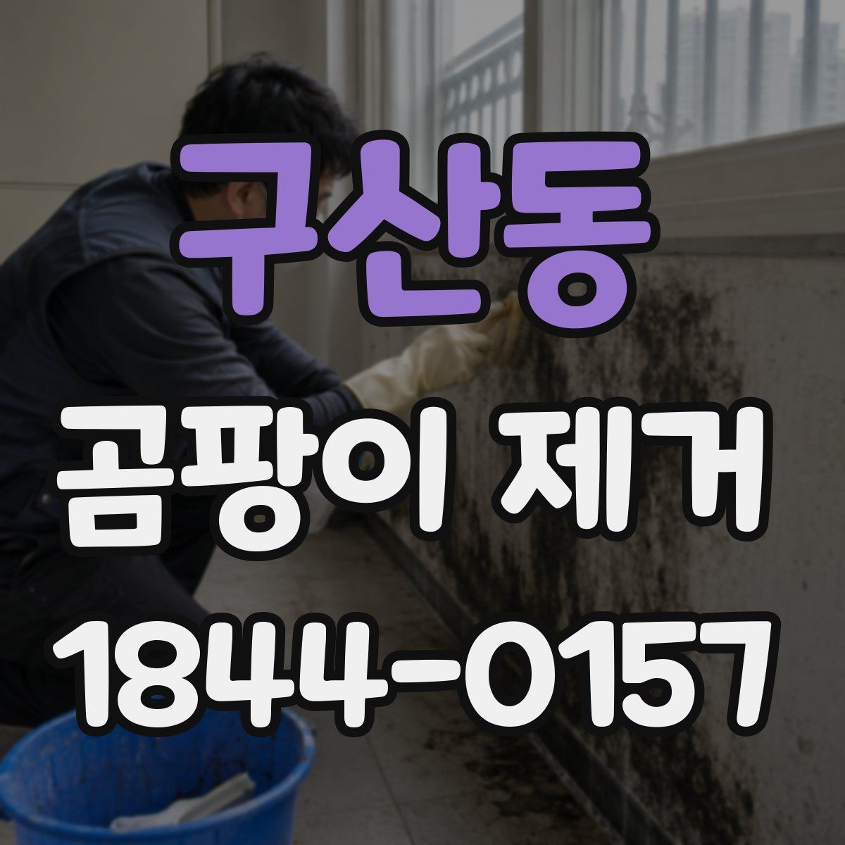 구산동 곰팡이 제거