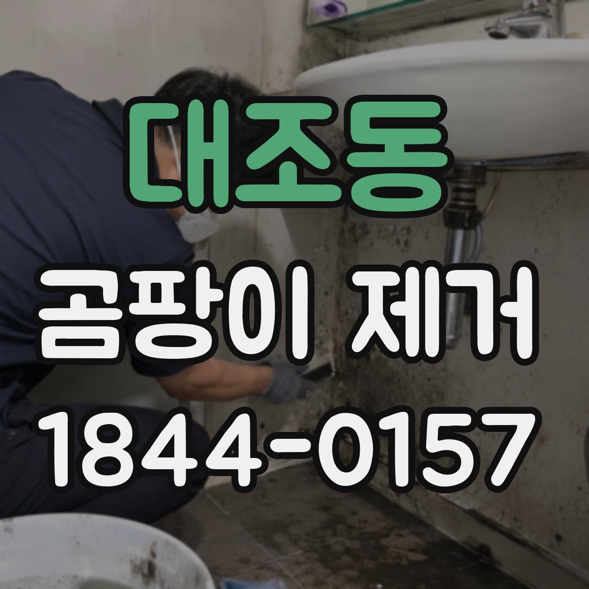 대조동 곰팡이 제거
