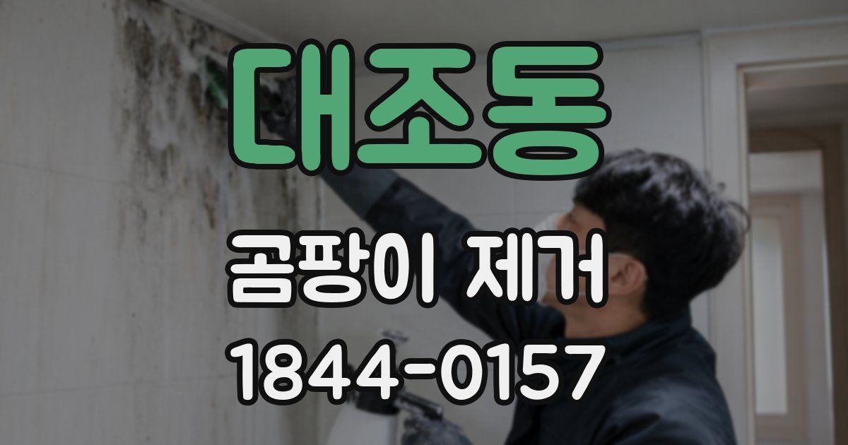 대조동 곰팡이 제거