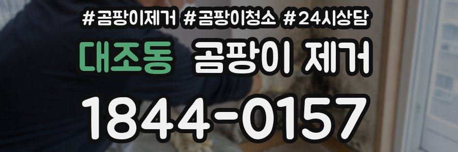 대조동 곰팡이 제거