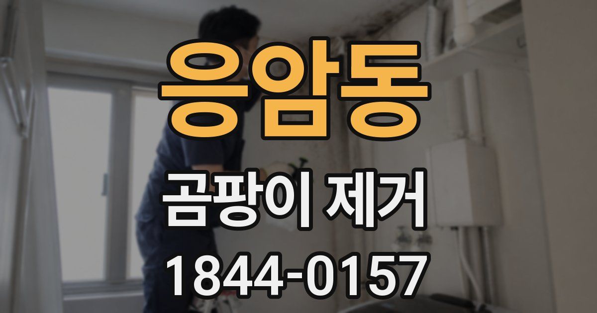 응암동 곰팡이 제거