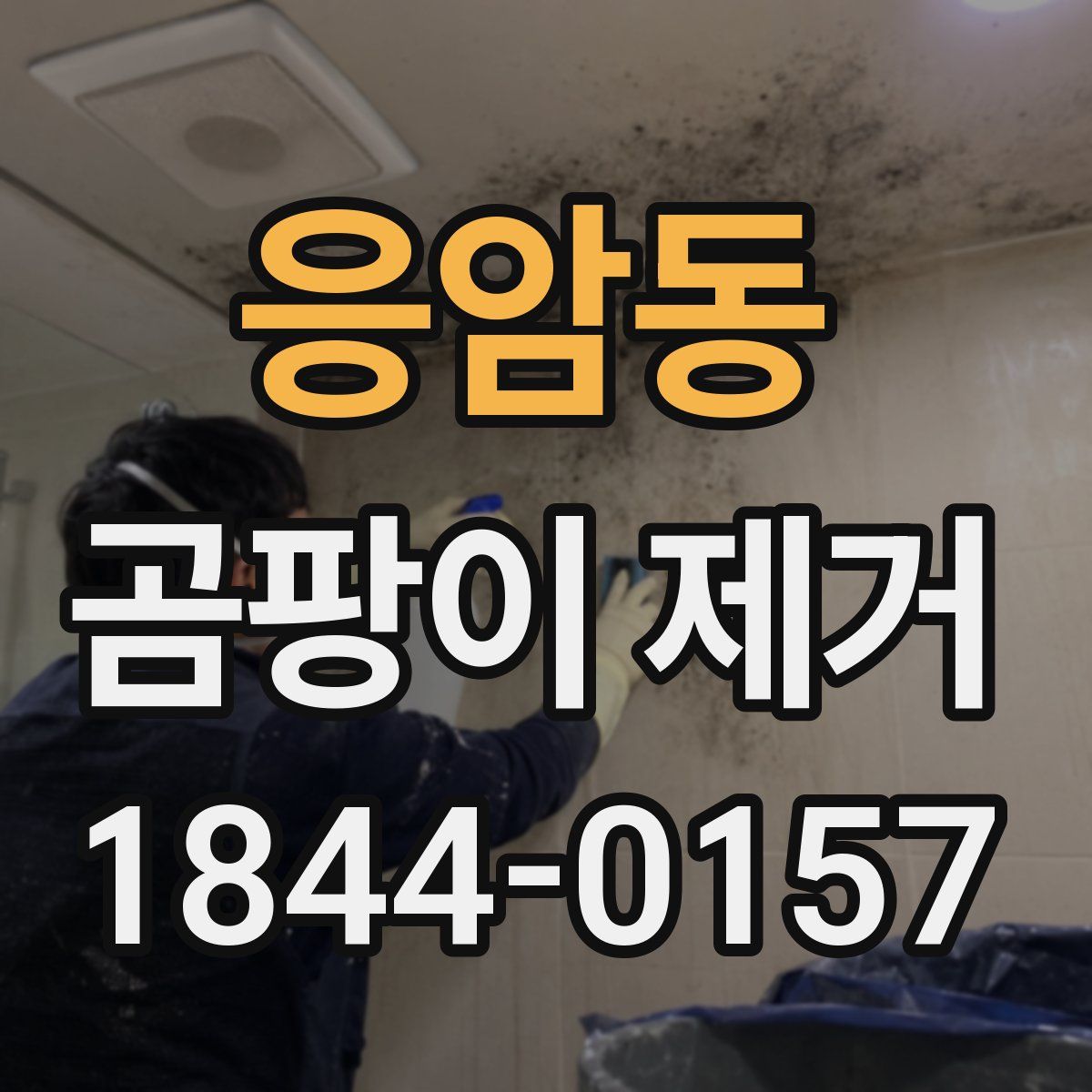 응암동 곰팡이 제거