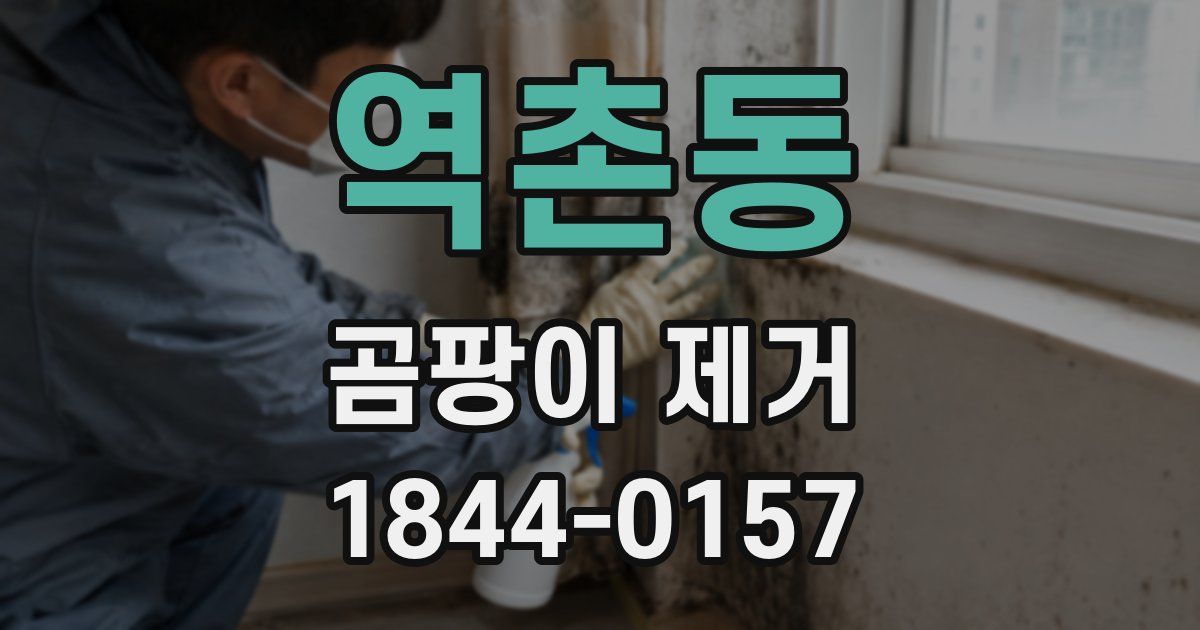 역촌동 곰팡이 제거