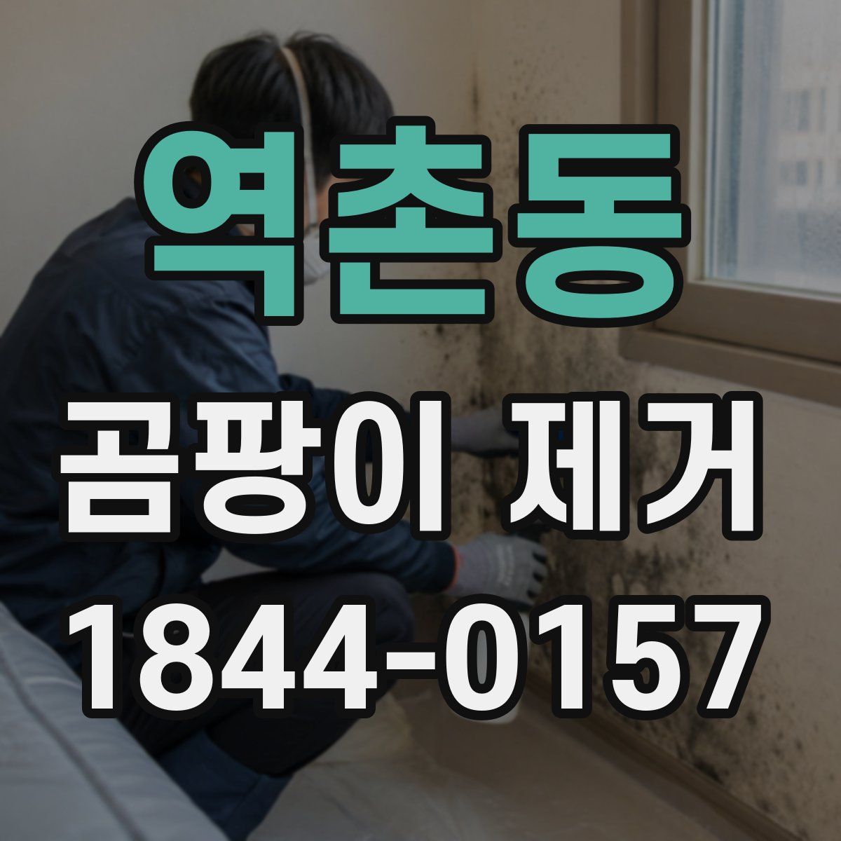 역촌동 곰팡이 제거