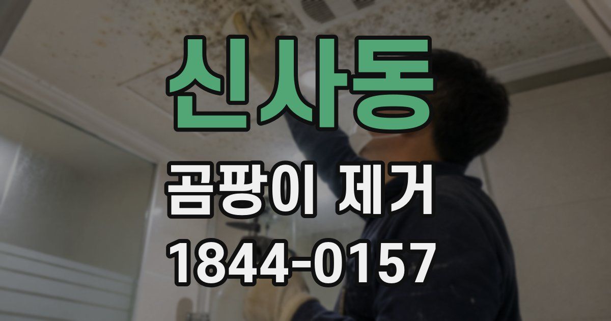 신사동 곰팡이 제거