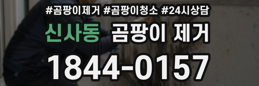 신사동 곰팡이 제거