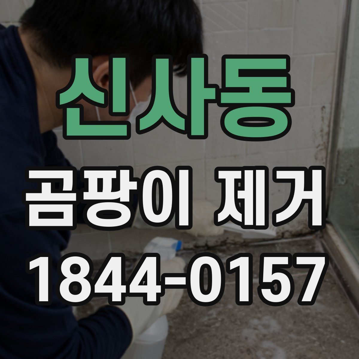 신사동 곰팡이 제거