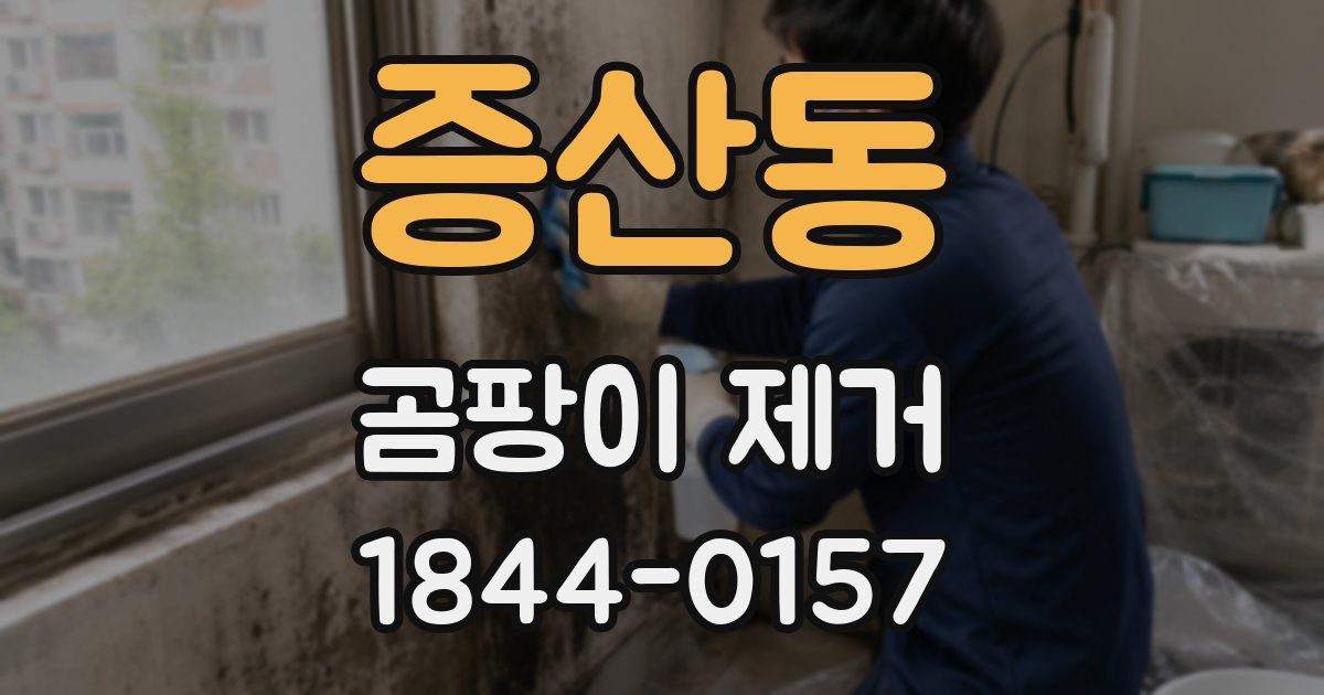 증산동 곰팡이 제거
