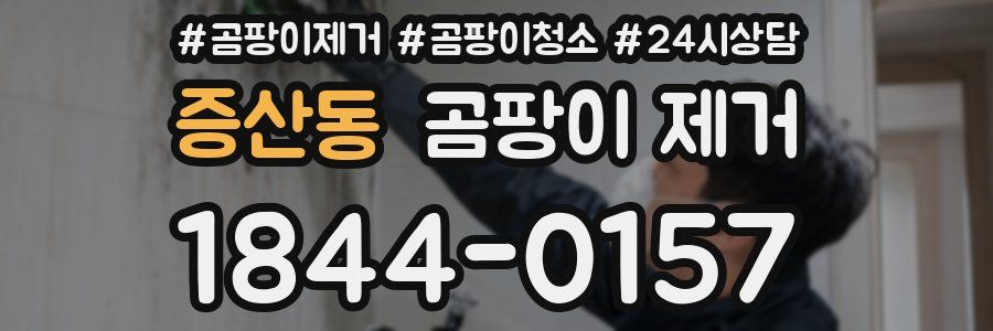 증산동 곰팡이 제거