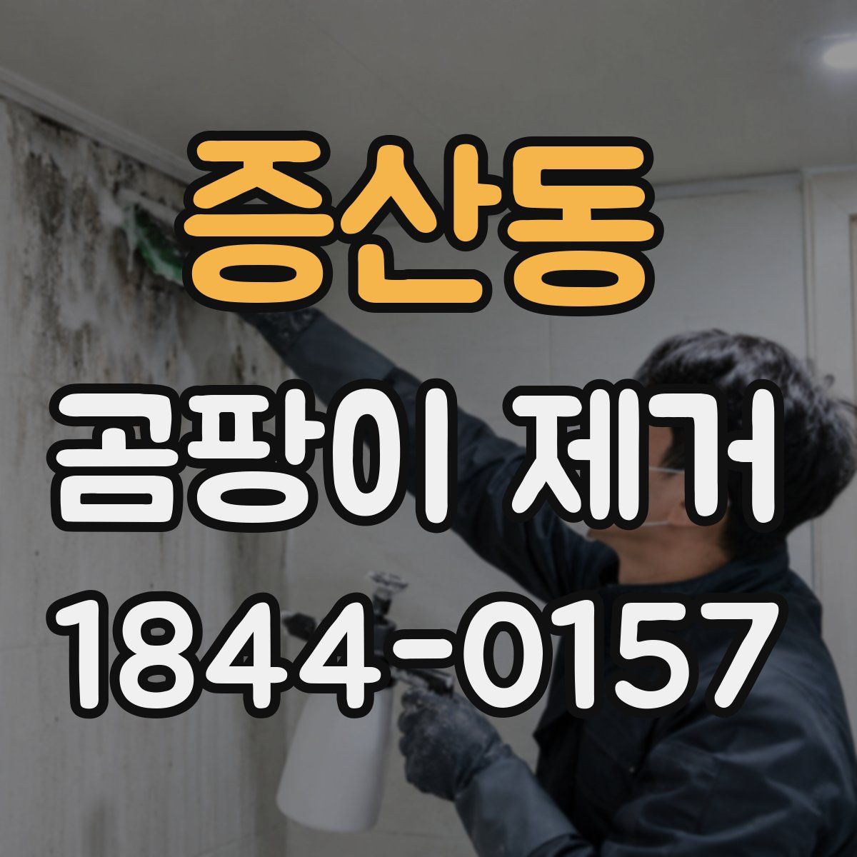 증산동 곰팡이 제거
