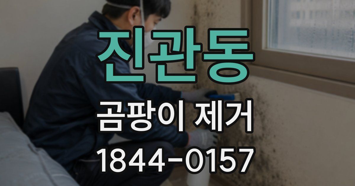 진관동 곰팡이 제거